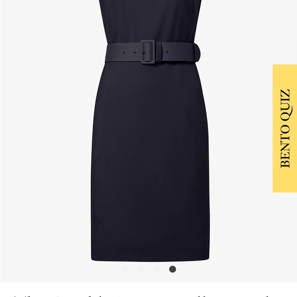 Elegant Navy Belted Dress